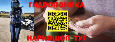 гашик Донецк